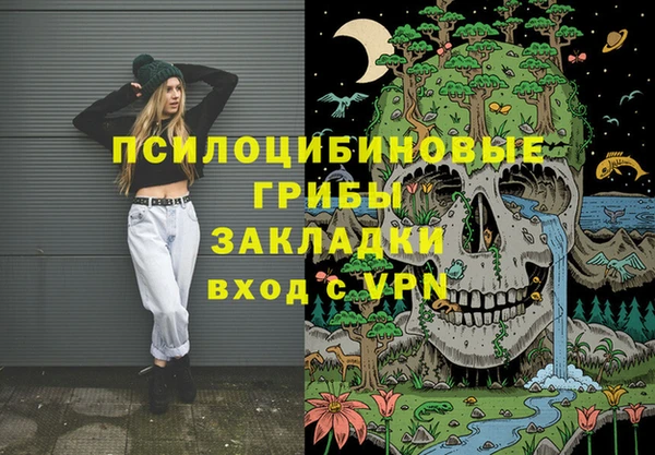 эйфоретик Богородицк