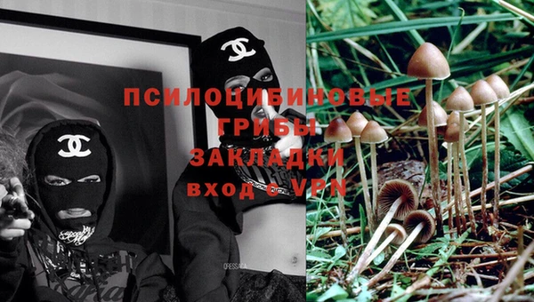 мяу мяу кристалл Дегтярск